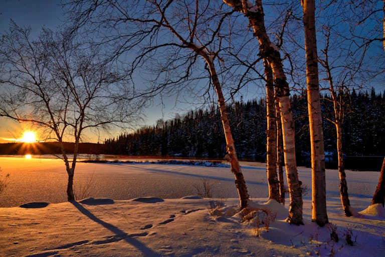 A serene winter sunset casting shadows on a frozen lake surrounded by snow and trees.