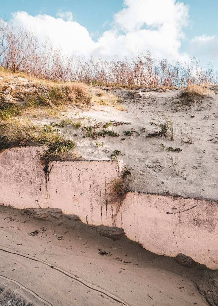 Eroded sand dunes with vegetation at Smiltynė, Lithuania, showing coastal landscape changes.